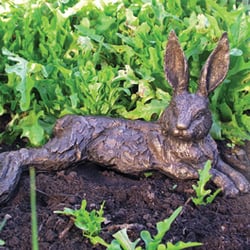 The Worm that Turned - Relaxing Hare