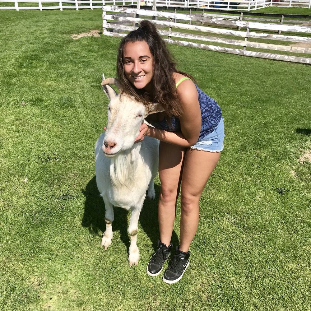 Old McDonald's Farm - a woman petting a goat - Fruits & Veggies Near Me - Sackets Harbor, New York