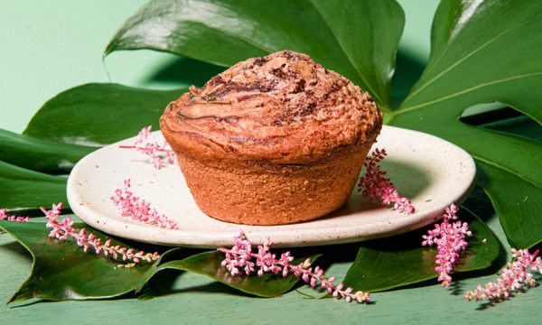 Coffee and Plants by null