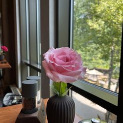 Tree Restaurant & Bar - Fresh flowers