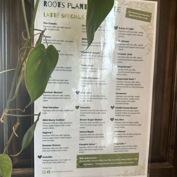 Roots Plants Coffee - Flowers & Gifts Near Me - Slidell, Louisiana Roots Plants Coffee - Flowers & Gifts Near Me - Slidell, Louisiana
