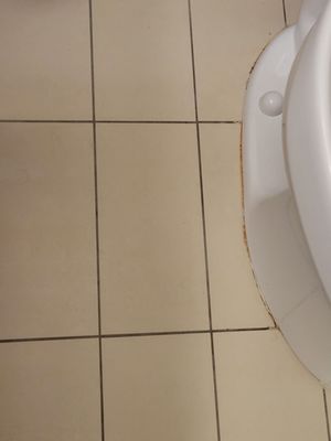 Cambria Hotel Pittsburgh - Downtown by null