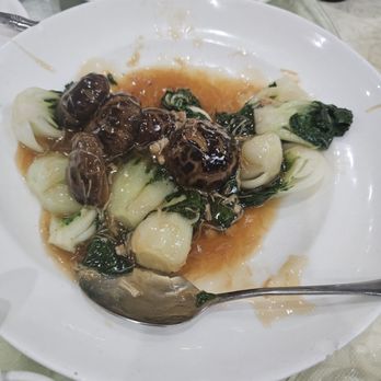 Ming Yuan Restaurant - Tender Greens with Black Mushrooms - Dim Sum Near Me - Daly City, California Ming Yuan Restaurant - Tender Greens with Black Mushrooms - Dim Sum Near Me - Daly City, California