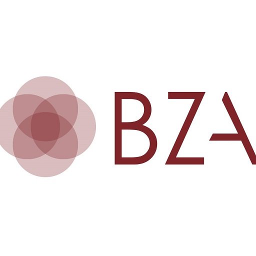 BZA Behavioral Health - child therapist in Schaumburg, IL