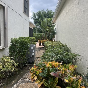 All Around Groundkeepers - Recommended cutting back these plants and spreading new mulch to restore this area - Tree Services Near Me - Margate, Florida
