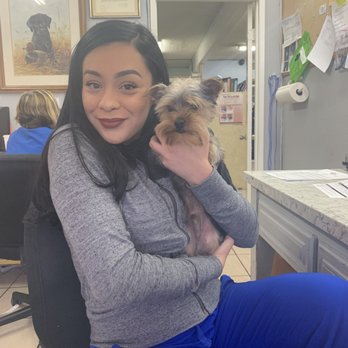 Bubba's Hug A Pug Rescue - Community Service/Non-Profit Near Me