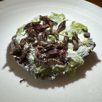 Koko - Bars Near Me - Miami, Florida
