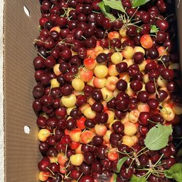 Out bounty today