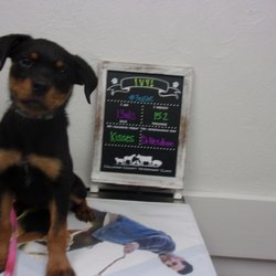 Callahan County Veterinary Clinic