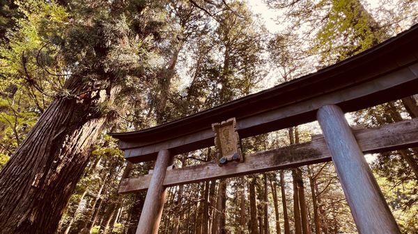 Kitaguchi Hongu Fuji Sengen Shrine by null