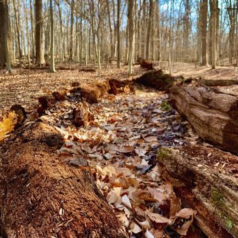 Ford MineTrail - Hiking Near Me - Potomac, Maryland Ford MineTrail - Hiking Near Me - Potomac, Maryland