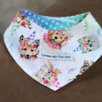 Carmel Dog Shop - Ascot for my toy poodle - Pet Stores Near Me - Carmel, California Carmel Dog Shop - Ascot for my toy poodle - Pet Stores Near Me - Carmel, California
