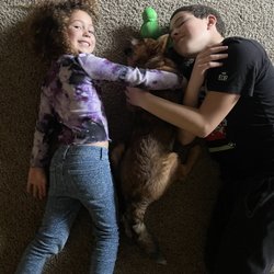 Santa Cruz SPCA - Group hug!