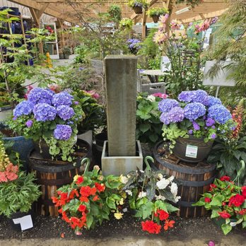 Armstrong Garden Centers - Nurseries & Gardening Near Me - Anaheim, California Armstrong Garden Centers - Nurseries & Gardening Near Me - Anaheim, California