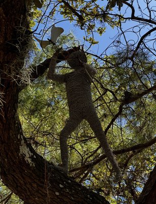 Port St. Lucie Botanical Gardens by null