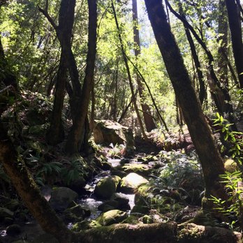 Long Ridge Open Space Preserve - Peter's Creek - Parks Near Me - Cupertino, California