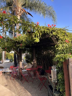 Ojai Roots by null