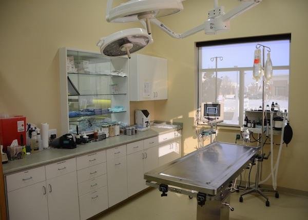 Springbrook Animal Care Center - pet boarding facility in Naperville, IL