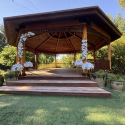 Paradise Springs