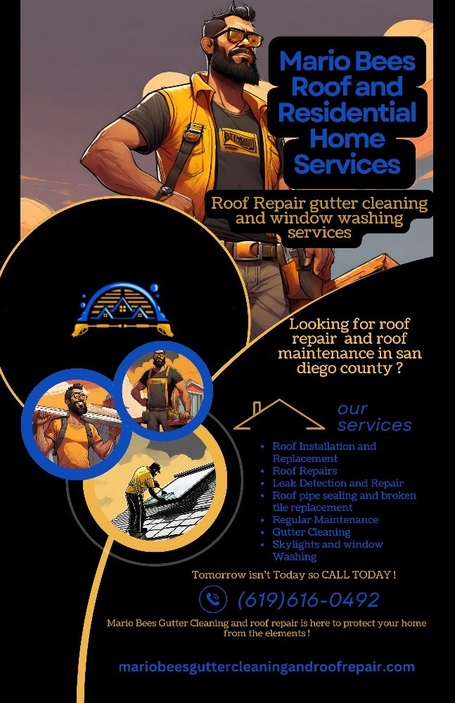 Slide of Mario Bees Gutter Cleaning and Roof Repair