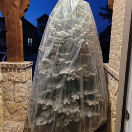 One side of the tree looks great. The other side looks like shit and is missing flock in several areas identified. One side of the tree looks great. The other side looks like shit and is missing flock in several areas identified.
