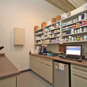 Your Pet's Wellness - Veterinarians Near Me - Chicago, Illinois Your Pet's Wellness - Veterinarians Near Me - Chicago, Illinois