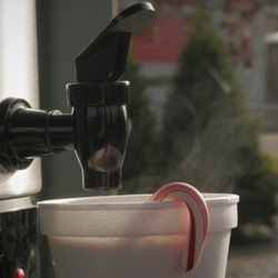 Donna's Trees - Free Hot Cocoa!