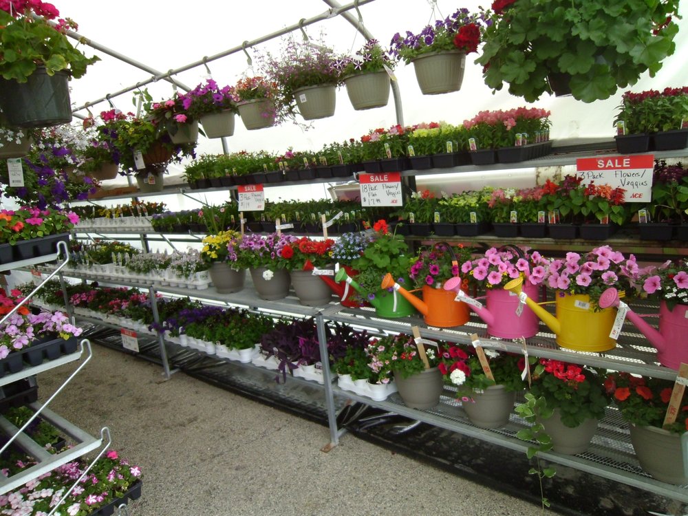 TENNIES ACE HARDWARE Updated September 2024 900 Fond Du Lac Ave