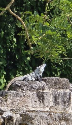 San Gervasio by null