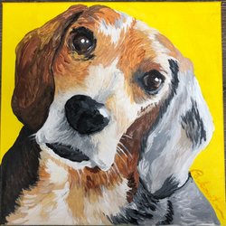 Perkowitz Art Studio - Pet portraits