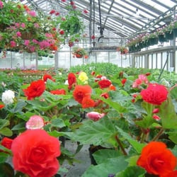 Colorful annuals and hanging baskets in the summer