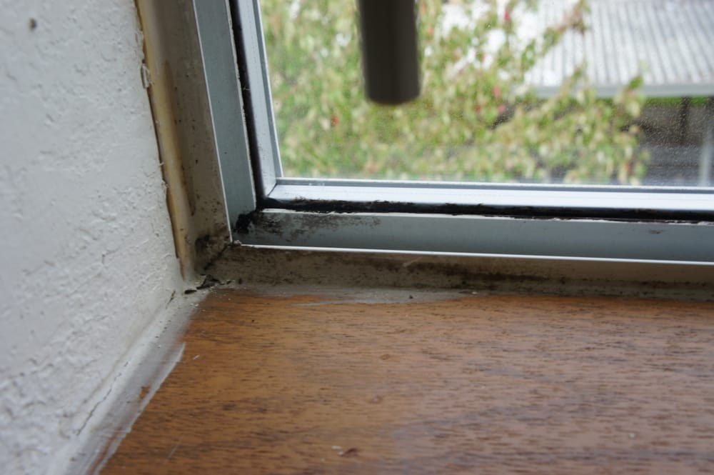 WESTRIDGE II LUXURY APARTMENTS Updated October 2024 27 Photos