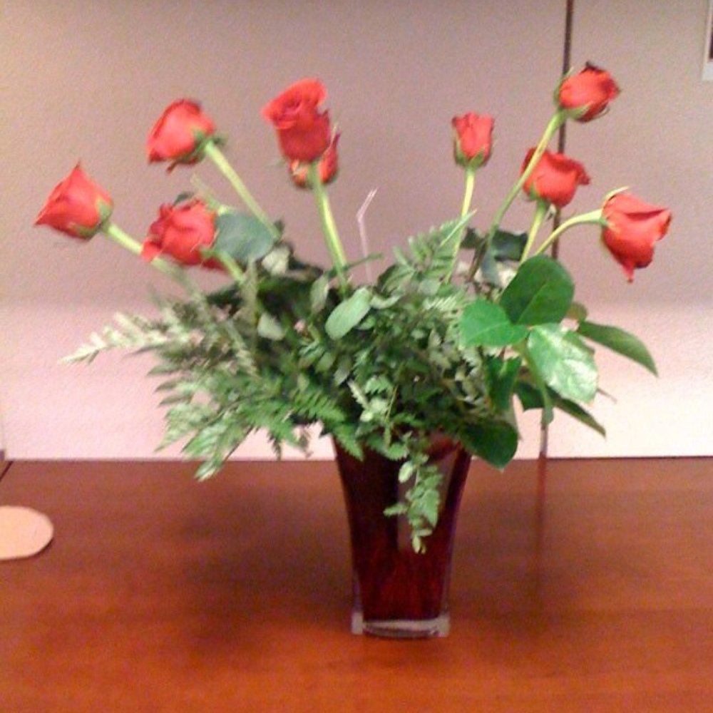 Everything's Blooming - Day 1: V-Day Weed Wacker Roses (poor arrangement, missing 7 flowers, sick roses (see pictures)) - Florists Near Me Everything's Blooming - Day 1: V-Day Weed Wacker Roses (poor arrangement, missing 7 flowers, sick roses (see pictures)) - Florists Near Me