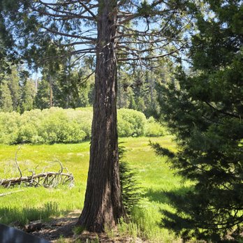 Grant Grove Restaurant - View from back deck - American Near Me - Hume, California Grant Grove Restaurant - View from back deck - American Near Me - Hume, California