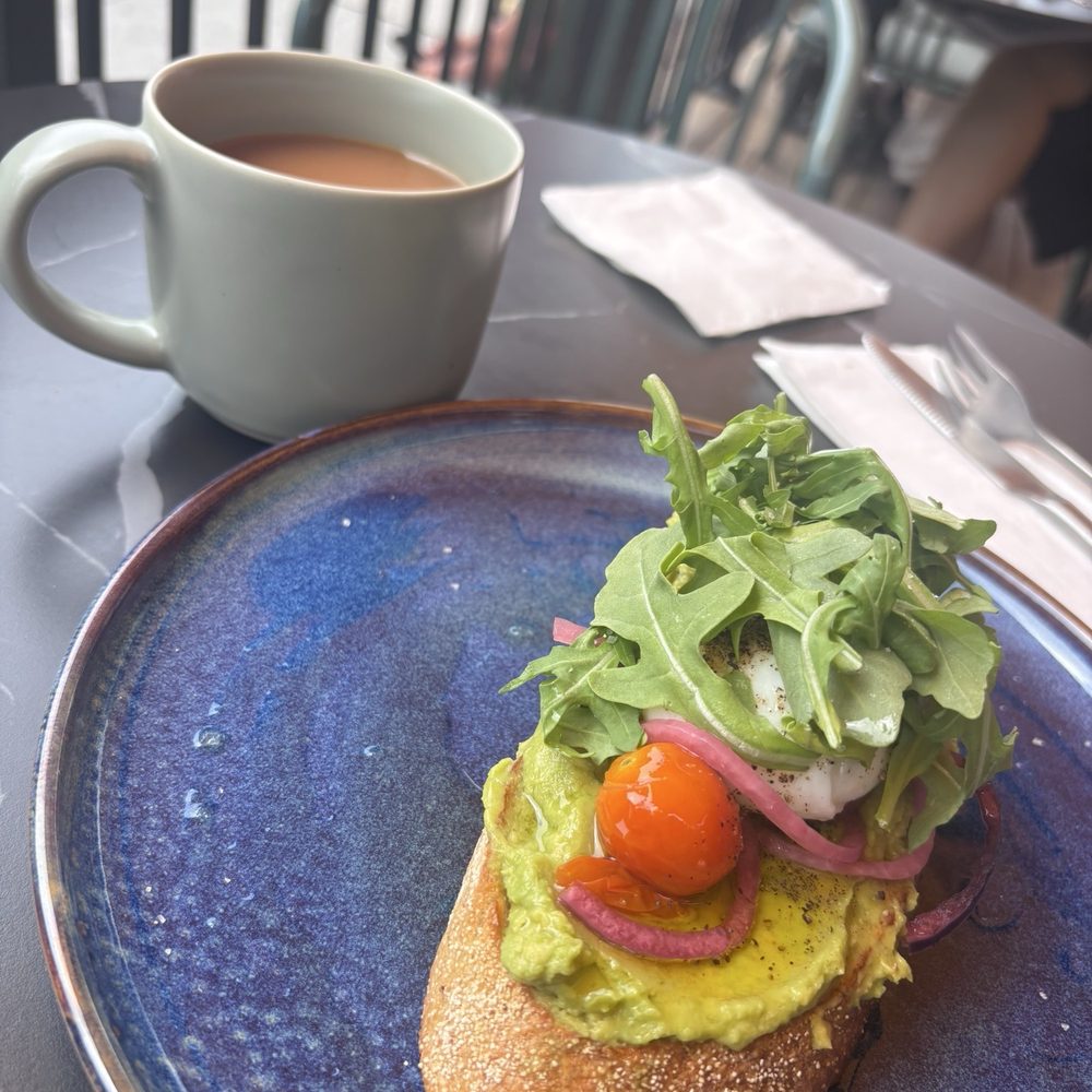Augusta Coffee - Avocado toast and drip coffee Luna roast - Coffee Roasteries Near Me - Toronto, Ontario Augusta Coffee - Avocado toast and drip coffee Luna roast - Coffee Roasteries Near Me - Toronto, Ontario