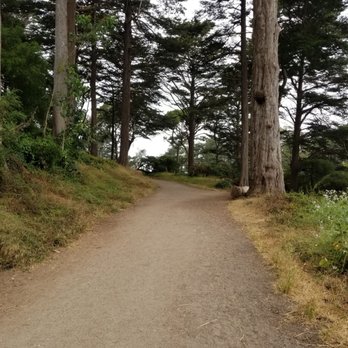 Blue Heron Lake - There are paved pathways - very safe and easy! - Lakes Near Me - San Francisco, California Blue Heron Lake - There are paved pathways - very safe and easy! - Lakes Near Me - San Francisco, California