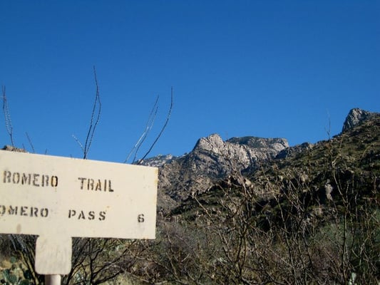 Catalina State Park by null