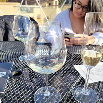 Willamette Valley Vineyards by null
