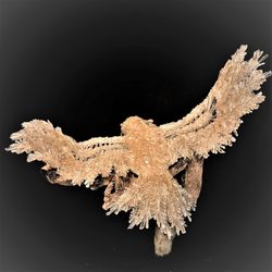 Joan Peters Gallery - One of a kind Art made from Extremely Rare Dog tooth Calcite Crystals lodged inside a Two Million year old fossil Clam.