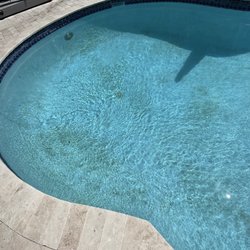 Danva Pools - This is directly after the so called "tech" left!