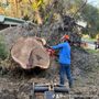 Photo of Whitmers Property Maintenance