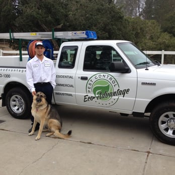 Eco Advantage Pest Control - Pest Control Near Me Eco Advantage Pest Control - Pest Control Near Me