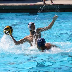 Menlo School - Menlo School Water Polo vs Bellarmine