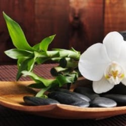 HealthGarden Praxis für Aroma- und Wellnessmassagen