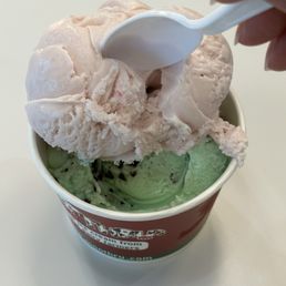 Mint Chip Ice Cream