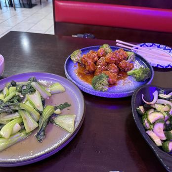 Serious Dumplings - Boca Raton - Garlic Shanghai green (just cooked bok choy), sesame chicken, and inedible cucumber salad - Dim Sum Near Me - Boca Raton, Florida Serious Dumplings - Boca Raton - Garlic Shanghai green (just cooked bok choy), sesame chicken, and inedible cucumber salad - Dim Sum Near Me - Boca Raton, Florida