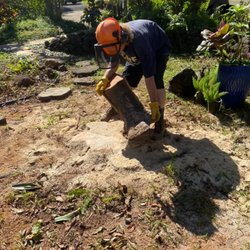 Tree Patrol Landscaping