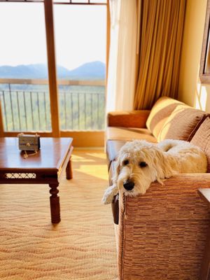 Suncadia Resort, a Destination by Hyatt Hotel by null