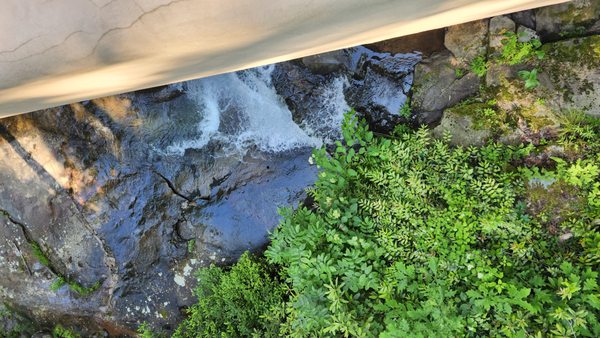 Fallingwater by null