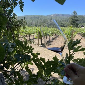 Hayfork Wine - A great day to taste - Wineries Near Me - Saint Helena, California Hayfork Wine - A great day to taste - Wineries Near Me - Saint Helena, California